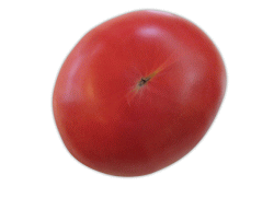 トマトは熊本県八代平野で作られるトマトを使用